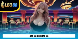 App Cá Độ Bóng Đá
