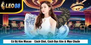 Cá Độ Kèo Macao – Cách Chơi, Cách Đọc Kèo & Mẹo Chuẩn